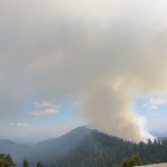 Waldbrand im Sequoia National Park