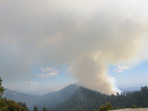 Waldbrand im Sequoia National Park