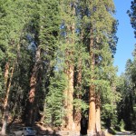 Alles strecken nützt nichts :-)