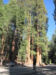 Alles strecken nützt nichts :-)